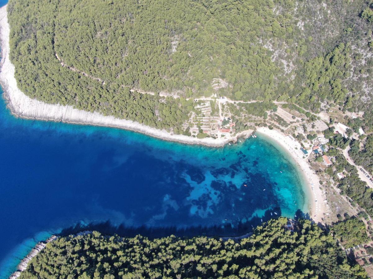 Korcula Holiday Zrnovo Dış mekan fotoğraf